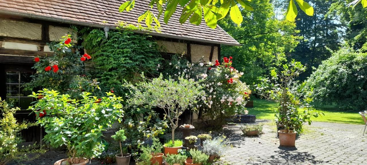 Villaflora Gaestehaus Riedlingen Kültér fotó