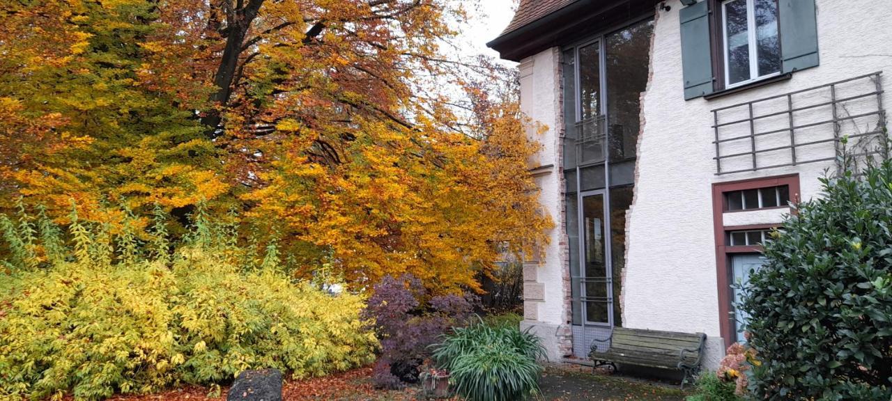 Villaflora Gaestehaus Riedlingen Kültér fotó