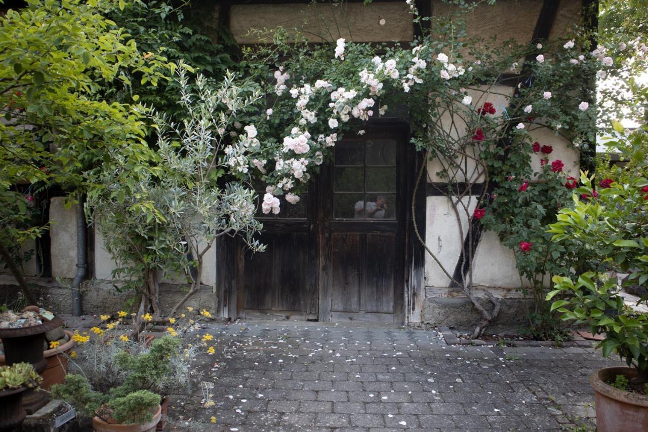 Villaflora Gaestehaus Riedlingen Kültér fotó